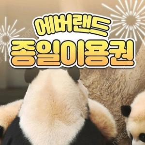 에버랜드 자유이용권