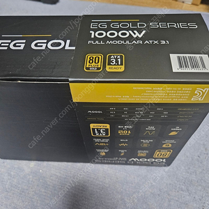 ENTIS EG GOLD 1000W 파워 풀모듈