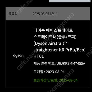 다이슨 에어스트레이트너 (블루코퍼 색상)