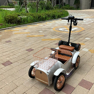 디트로네S 오토어시스트 24년 4월 25일 출고350->320->310 가격내림