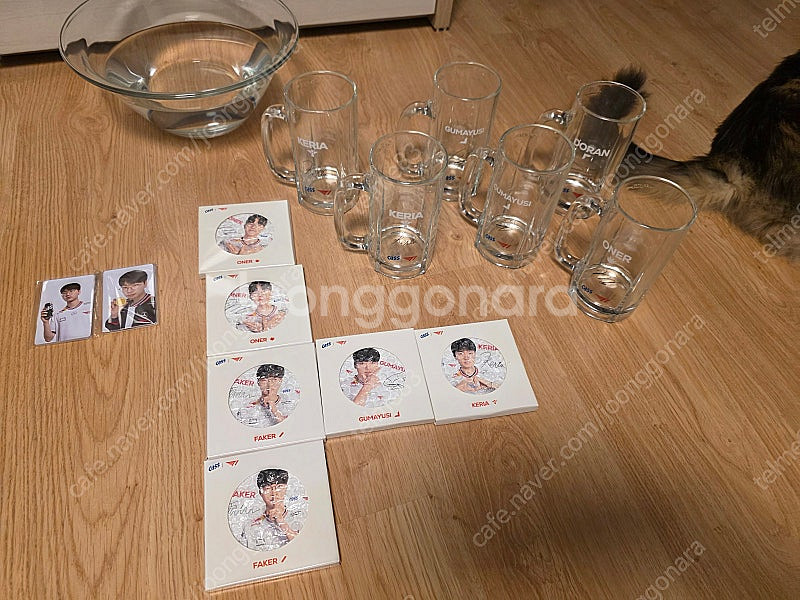 T1 카스 규조토 컵 교환 원합니다.--0