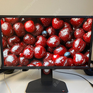 BenQ XL2566K 게이밍 모니터