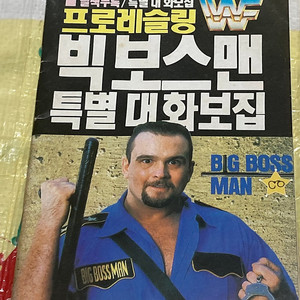 프로레슬링 WWF 빅보스맨 아이큐점프 별책 부록 1991년