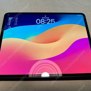 iPad Pro 13 M4 (256GB) + 매직 키보드 + 펜슬 Pro + 애케플 일괄 판매