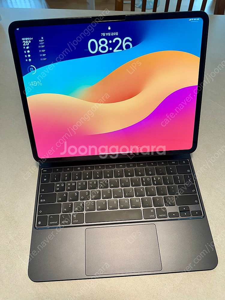 iPad Pro 13 M4 (256GB) + 매직 키보...--2