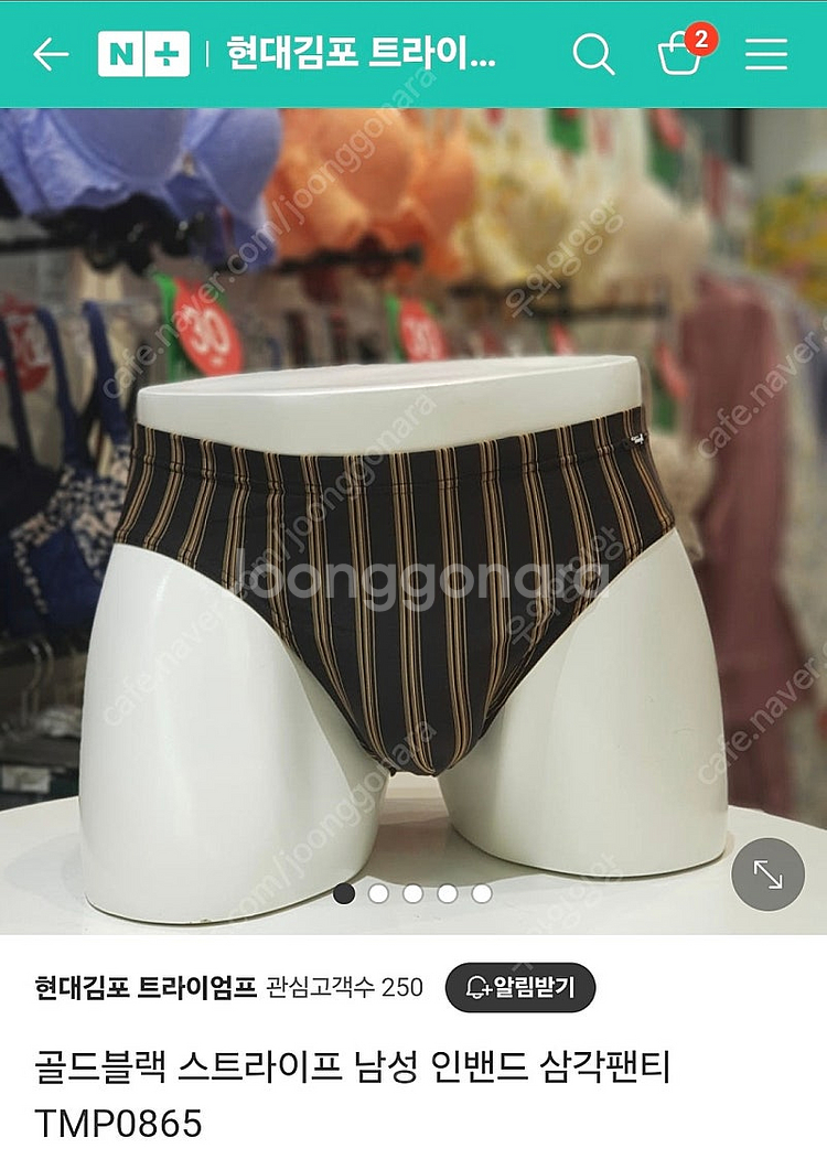 트라이엄프 남성 삼각팬티 100--0