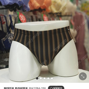 트라이엄프 남성 삼각팬티 100