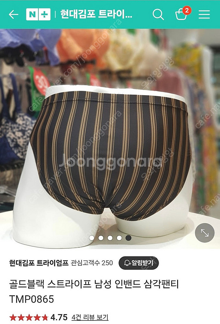 트라이엄프 남성 삼각팬티 100--1