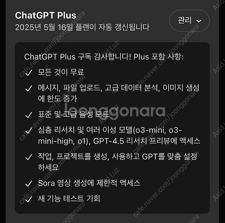 챗지피티 플러스 4o 파티원 구해요--0