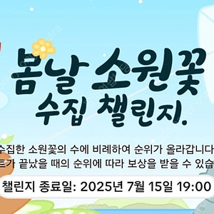 틱톡라이트 소원꽃 20개 팝니다