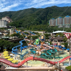 가격 대폭락~7월12토~소노벨 변산~홍천비발디파크~천안/단양 숙박 미친특가~~(대명리조트 콘도)