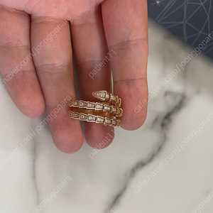 세르펜디 풀파베 반지판매합니다