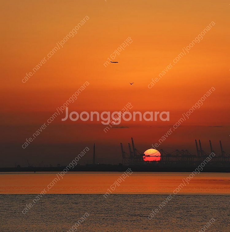 캐논 70-200 F2.8 II 새아빠백통 렌즈팝니다--4