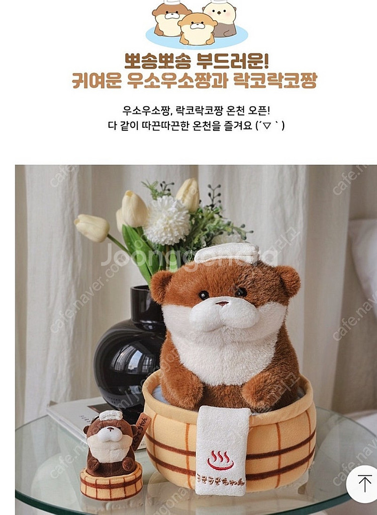 (새상품) 우소우소짱 온천 봉제 인형 브라운 27cm--3