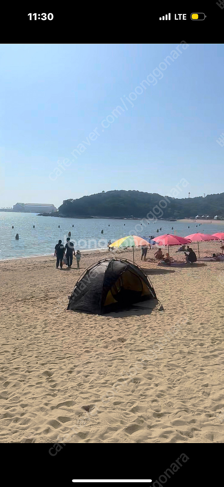 어썸홀리데이 래디언스 1.5p ex 타이거카모 그린--0