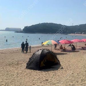 어썸홀리데이 래디언스 1.5p ex 타이거카모 그린