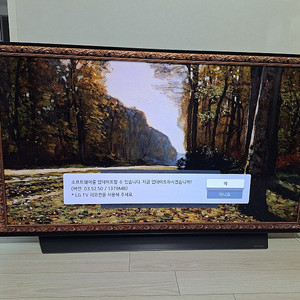 LG TV OLED48C1 48인치 TV