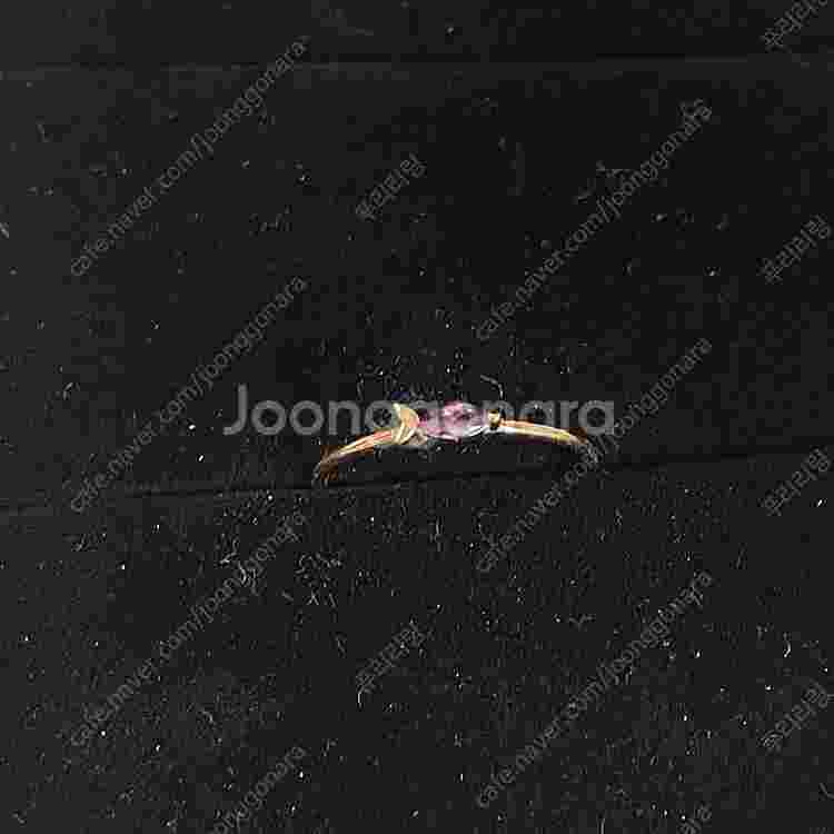 14k 로이드 반지 8호 옐로우골드--1