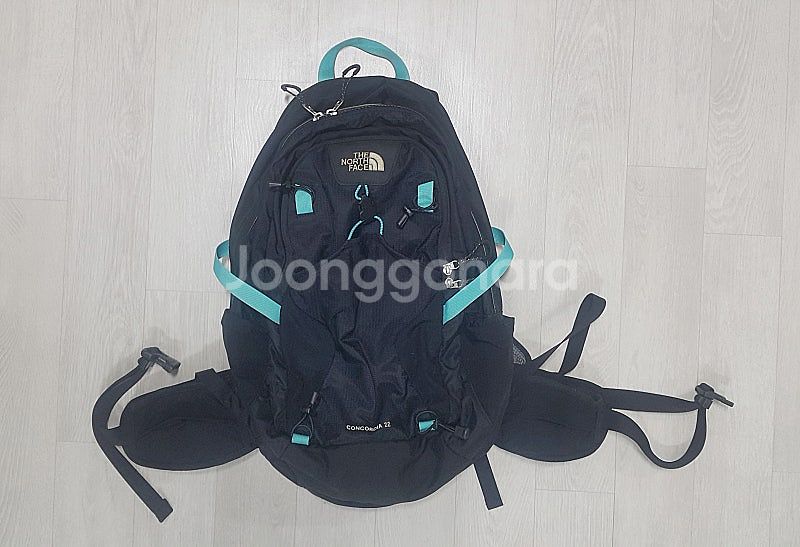 노스페이스 CONCORDIA 22L 등산 백팩--0