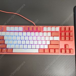 콕스 엔데버 리빙코랄 50g 무접점 판매