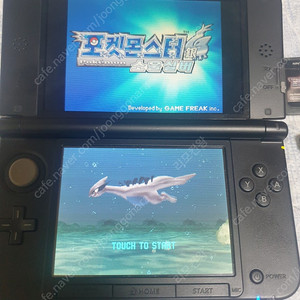 포켓몬 소울실버 알칩