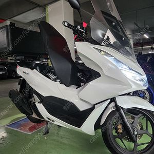 PCX125 24년식 20,933kmABS 화이트색상