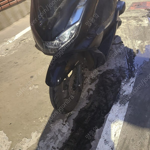 pcx 22년식 4.5만주행 배달세팅 180만원
