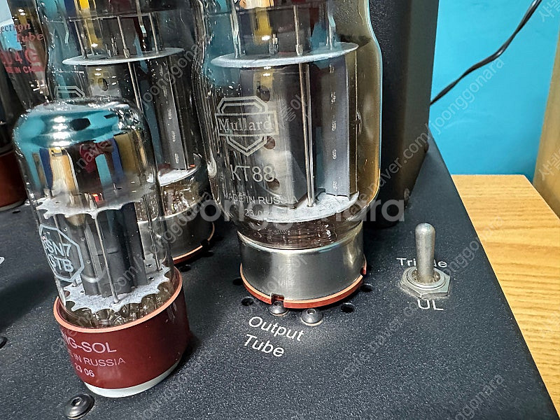 Cary Audio(캐리오디오) SLI-80 Signa...--4