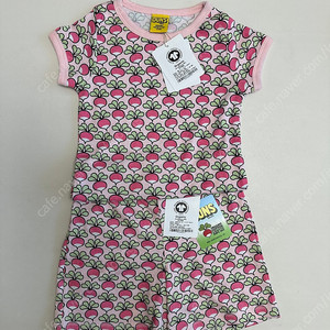 던스 25ss 블러싱 상하세트