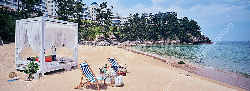 [7,8월] 양양,삼척,진도/거제,변산,파나크영덕,남해...--0