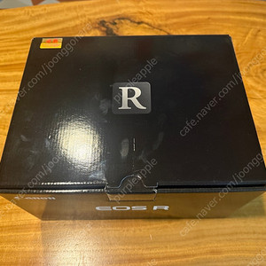 캐논 EOS R 미러리스 카메라
