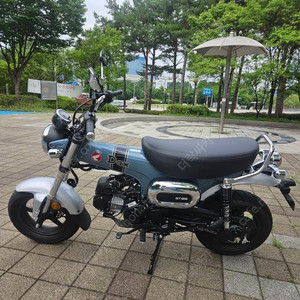 혼다 닥스125 ST125 2025년 실키로 384km