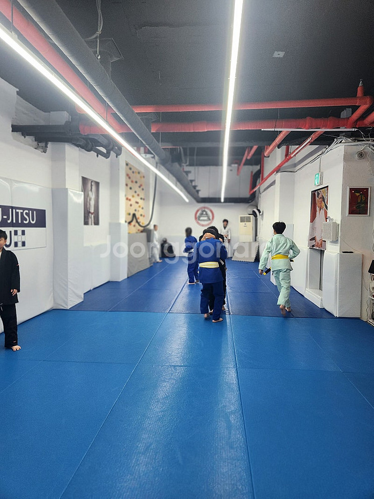 주짓수, 유도 타타미 매트 판매 [BSW, 스무스, 가...--1
