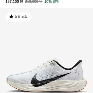 나이키 페가수스 플러스