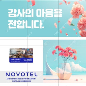 노보텔 앰배서더 동대문 식음 금액권 10만원권