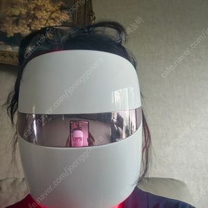 엘지프라엘마스크