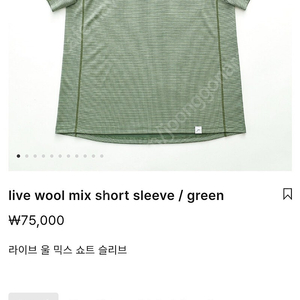 케일 라이브 울 믹스 숏 슬리브 그린 사이즈 L