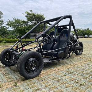 버기카 utv