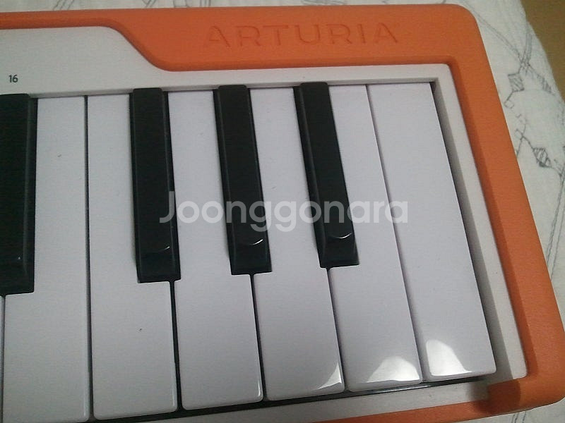 ARTURIA MICROLab 아투리아 마이크로랩 25...--9