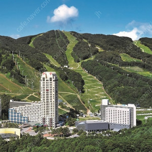 휘닉스 파크 평창 숙박권
