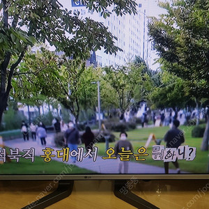 LG 43인치 TV