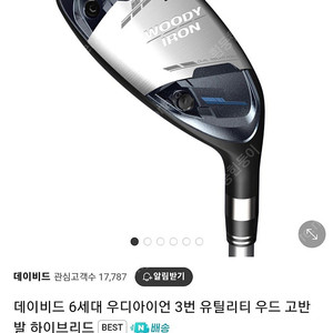 데이비드 유틸