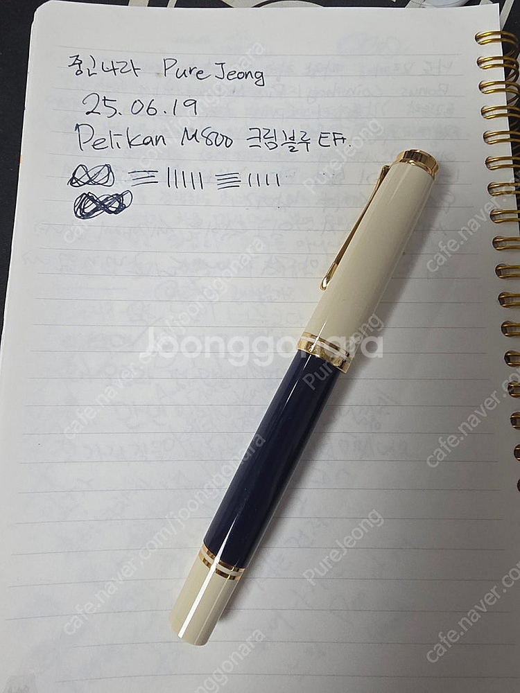 펠리칸 M800 크림블루 EF 만년필--0