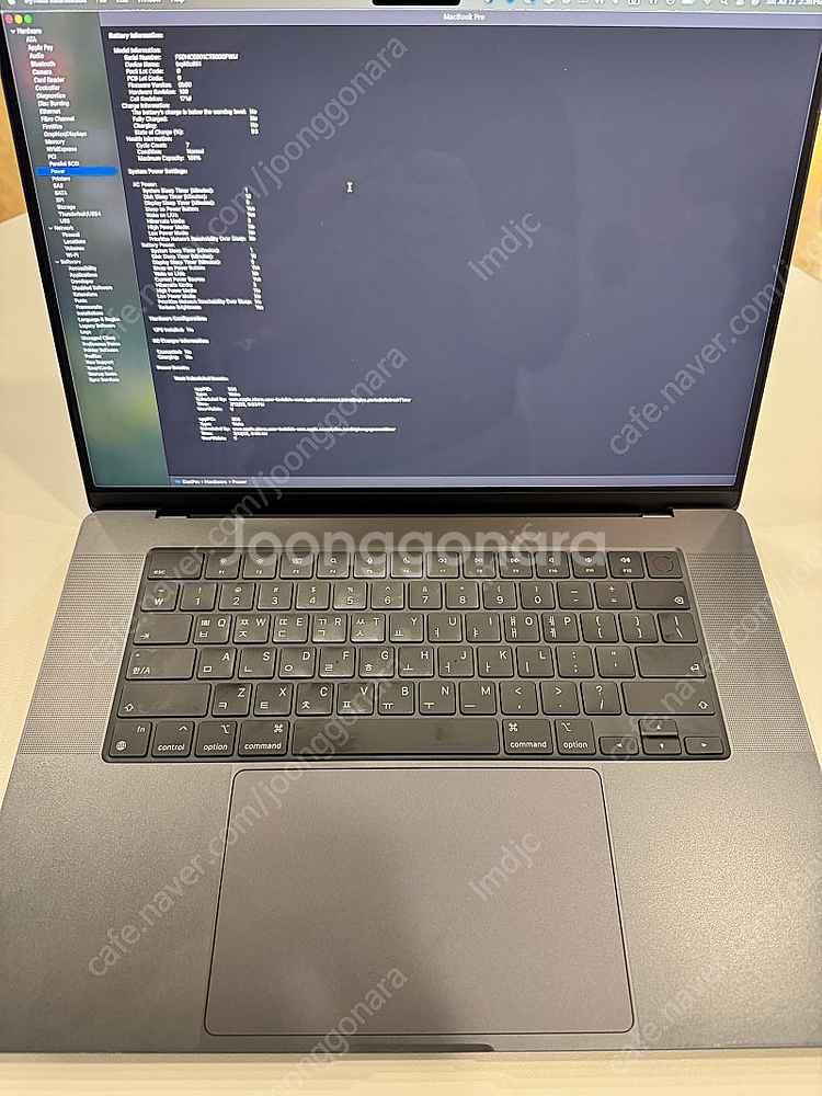 맥북프로 16인치 M4 MAX 1TB 36gb--0