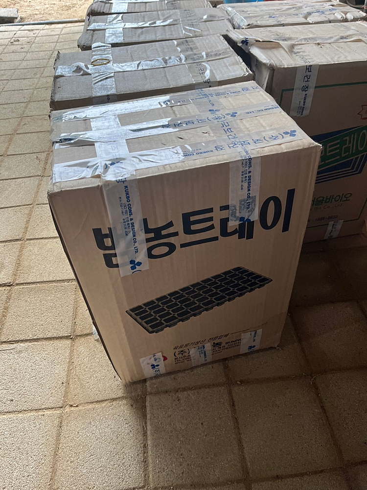 128 공 배추 육묘 트레이 모종 파종 판 모판 포트 이미지
