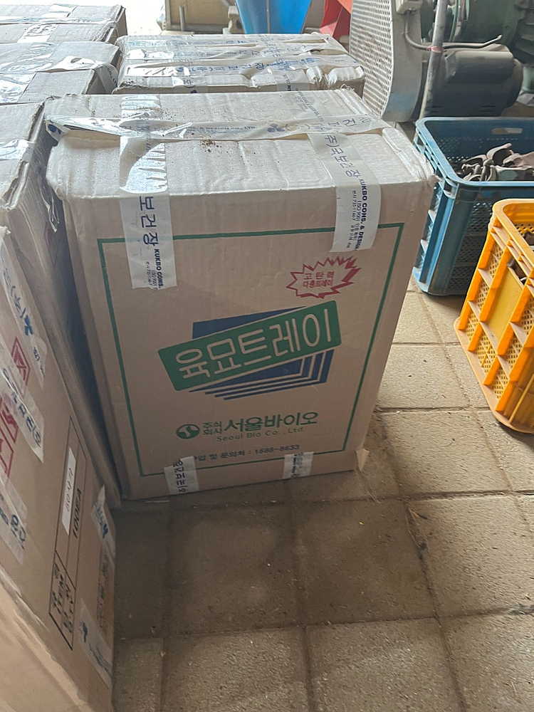 128 공 배추 육묘 트레이 모종 파종 판 모판 포트 이미지