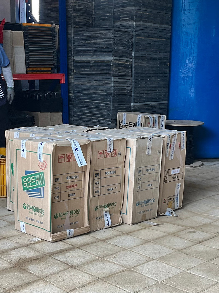 128 공 배추 육묘 트레이 모종 파종 판 모판 포트 이미지