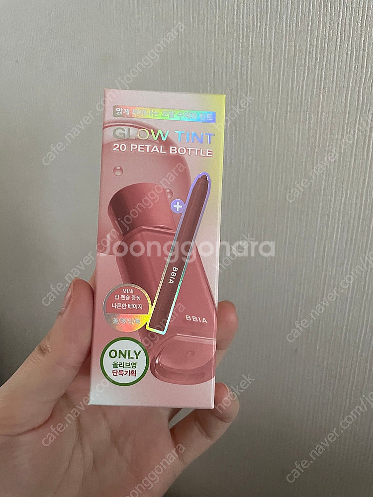 웨이크메이크 쉬어 레이어링 듀얼 블러셔 브러시 기획세트...--0