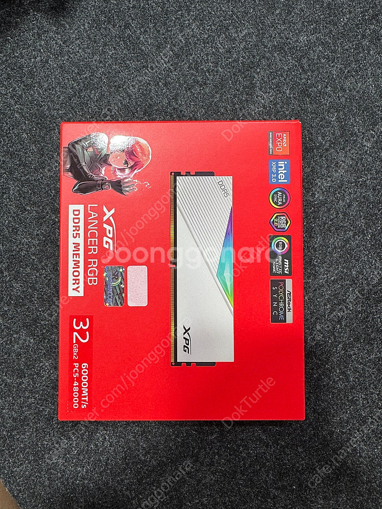 DATA DDR5-6000 CL30 LANCER RGB...--0