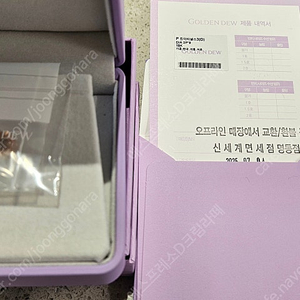 골든듀 듀이터널스 D 파베 로즈골드 귀걸이, 펜던트